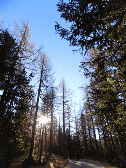 Capture d’écran 2015-12-09 à 22.05.06